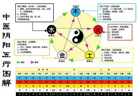 木生火 火生土 土生金 金生水 水生木|五行